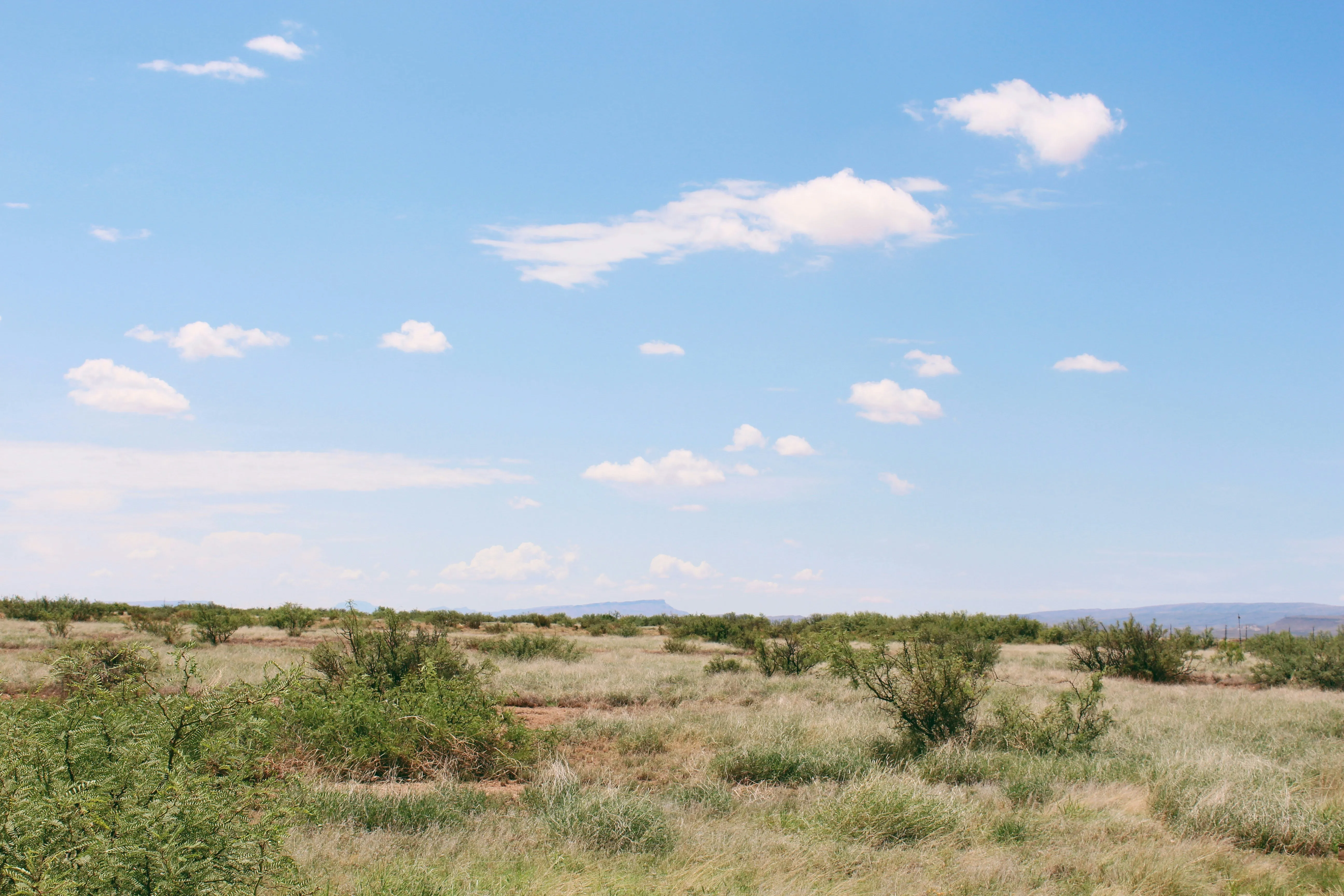 A wide Texas landscape under a large sky